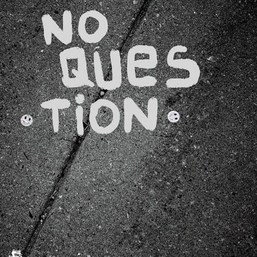 No Question 'S/T' 7"