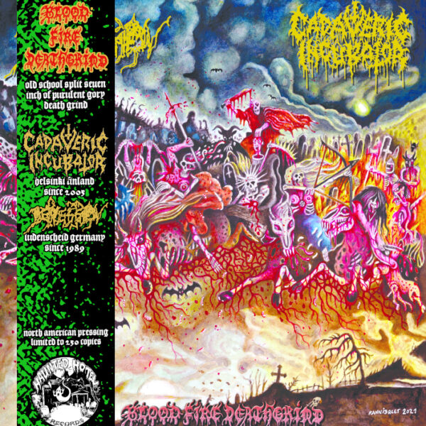 Cadaveric Incubator / Depression - Split 7"